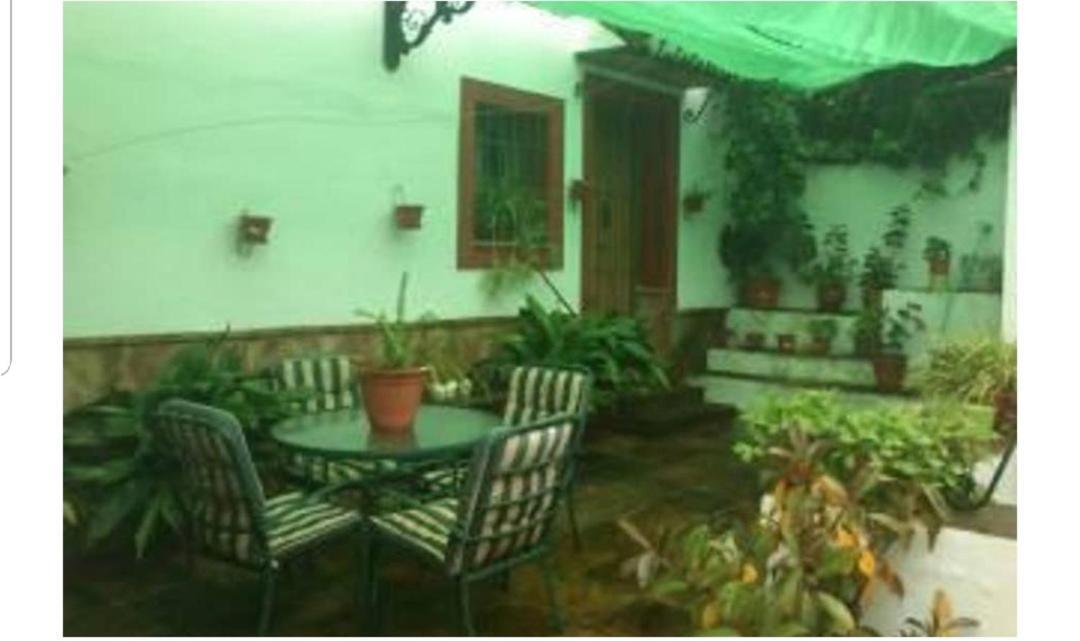 Apartamento En Cortijo Totalmente Reformado En Pleno Paraje Natural Junto Al Caminito Del Rey Y Los Sectores Mas Importantes De Escalada A Solo 2 Minutos De La Estacion De Tren Alora Exterior photo